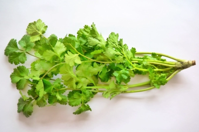 香菜水好處