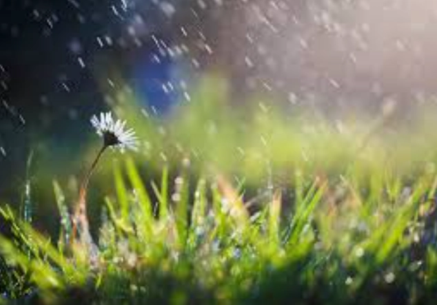 梅雨 出遊 景點