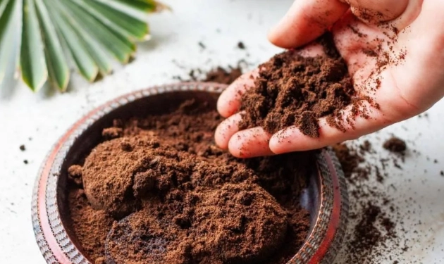 咖啡渣肥料製作