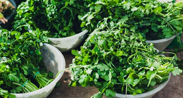 香菜水好處