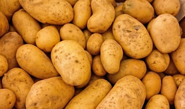 馬鈴薯保存方法