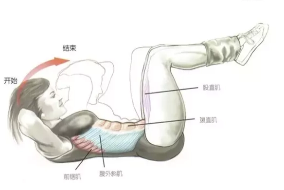 仰臥起坐減肥效果