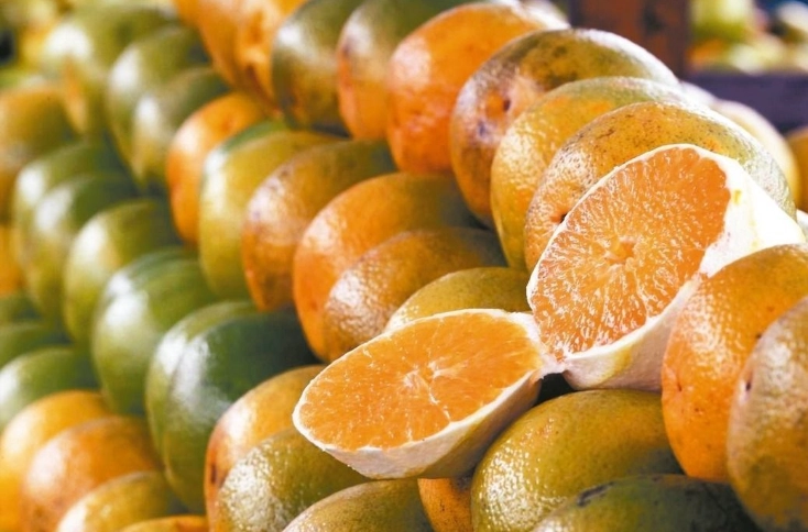 口腔潰瘍維生素補充